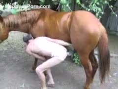 Dark haired fellow with a diminutive pecker receives fucked right into an asshole by his horse